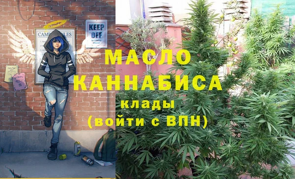 сатива Аркадак