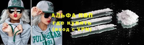 сатива Аркадак