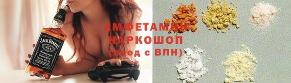 шишки Арсеньев