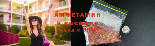 шишки Арсеньев