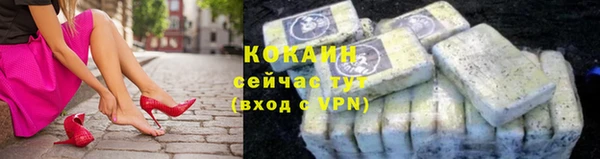 сатива Аркадак