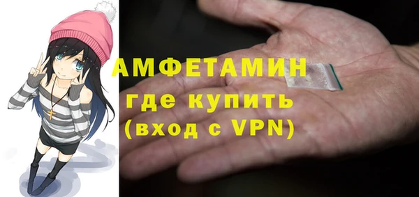 шишки Арсеньев