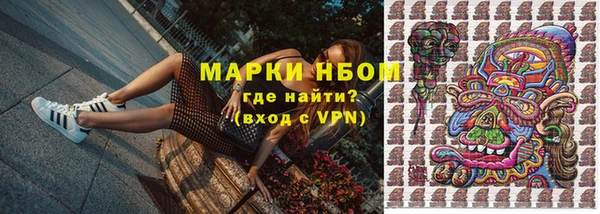 шишки Арсеньев
