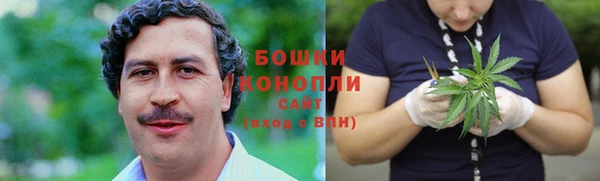 сатива Аркадак