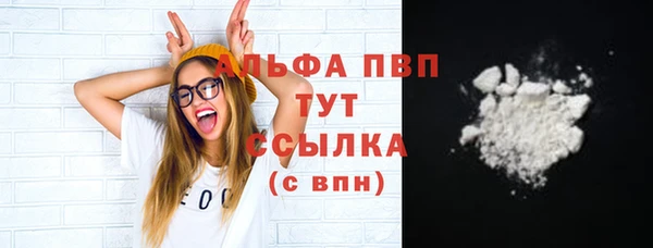 шишки Арсеньев