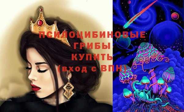 шишки Арсеньев