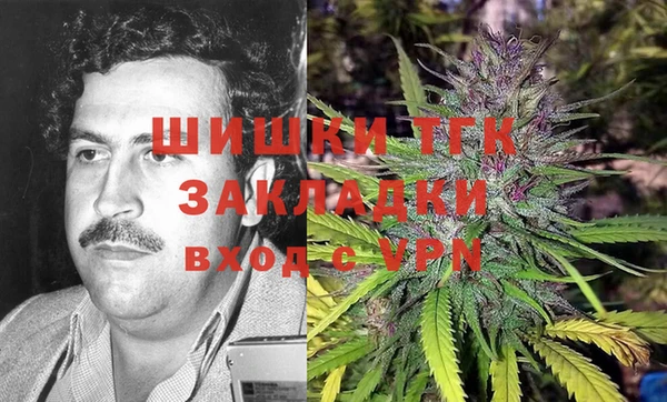 шишки Арсеньев