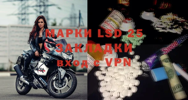 сатива Аркадак
