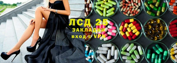 сатива Аркадак