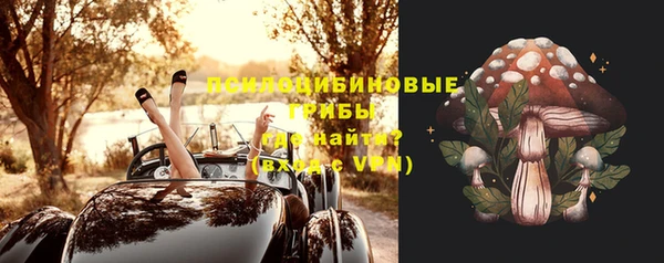 шишки Арсеньев