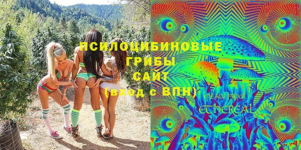 прущие грибы Армянск