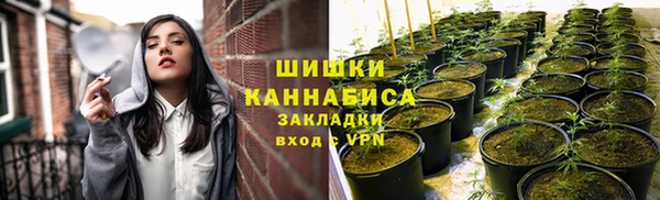 шишки Арсеньев