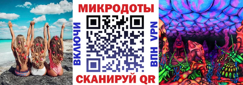 хочу   Северо-Курильск  Псилоцибиновые грибы Psilocybine cubensis 